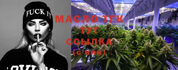гидра Кинешма