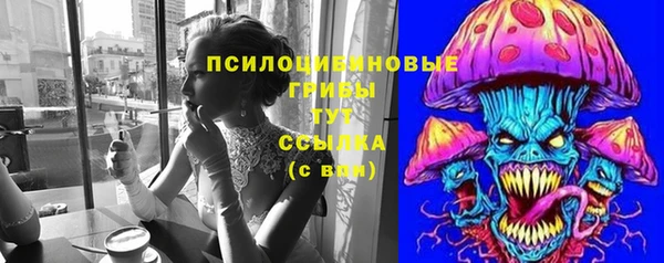 гидра Кинешма