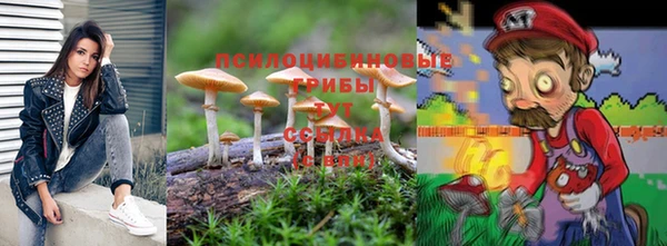 стафф Киренск