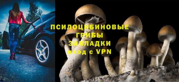 стафф Киренск
