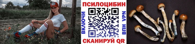 Галлюциногенные грибы Cubensis Купить закладки Венёв