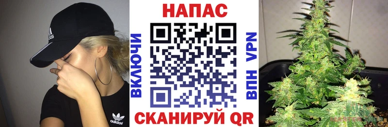Конопля конопля  Купить где  Венёв 